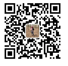 the qr code